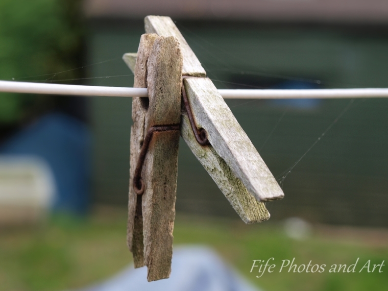 Two more wooden pegs on a washing line