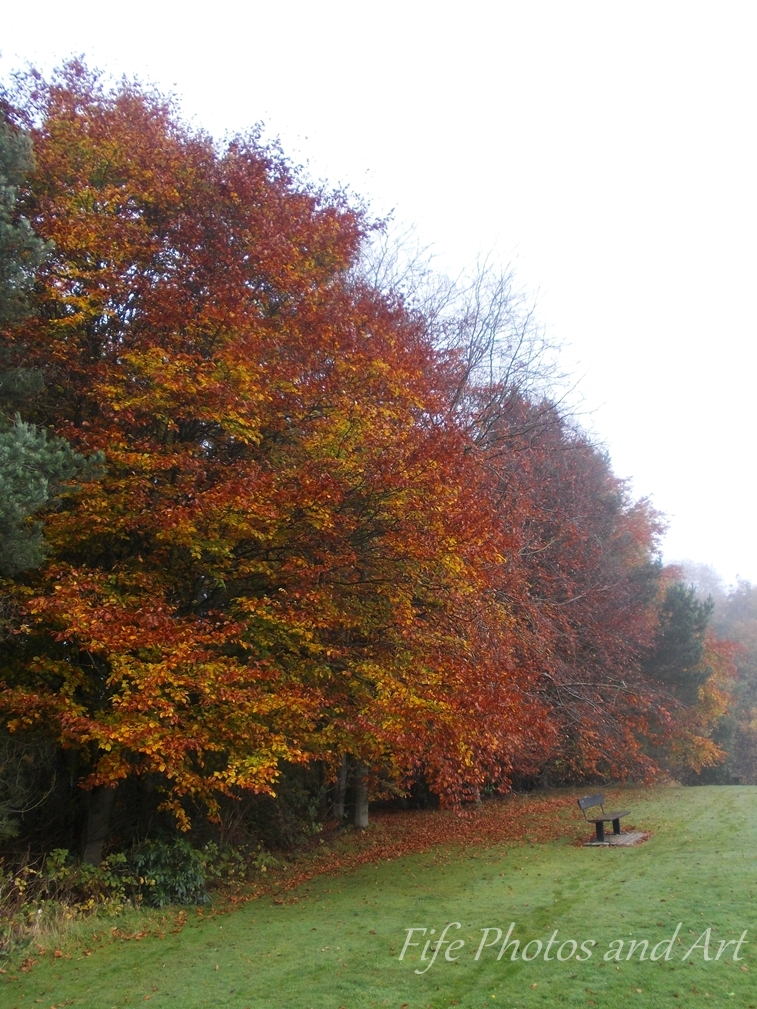 Autumn Colours in Balbirnie Park, nr Glenrothes