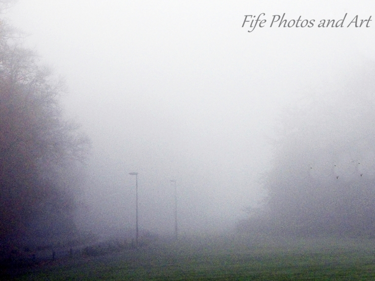 Early Morning Fog at Balbirnie Park