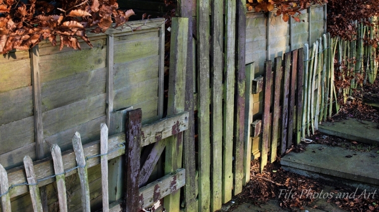 Fence & Gate