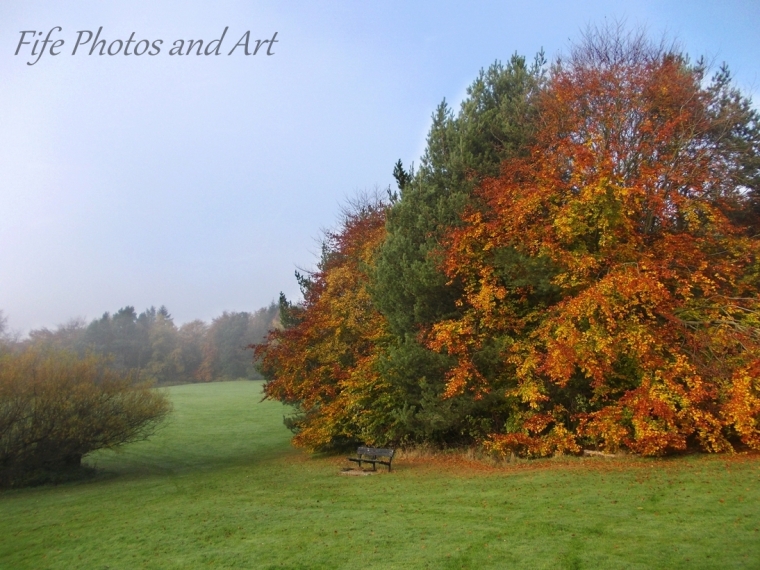 Late Autumn Colours in Balbirnie Park